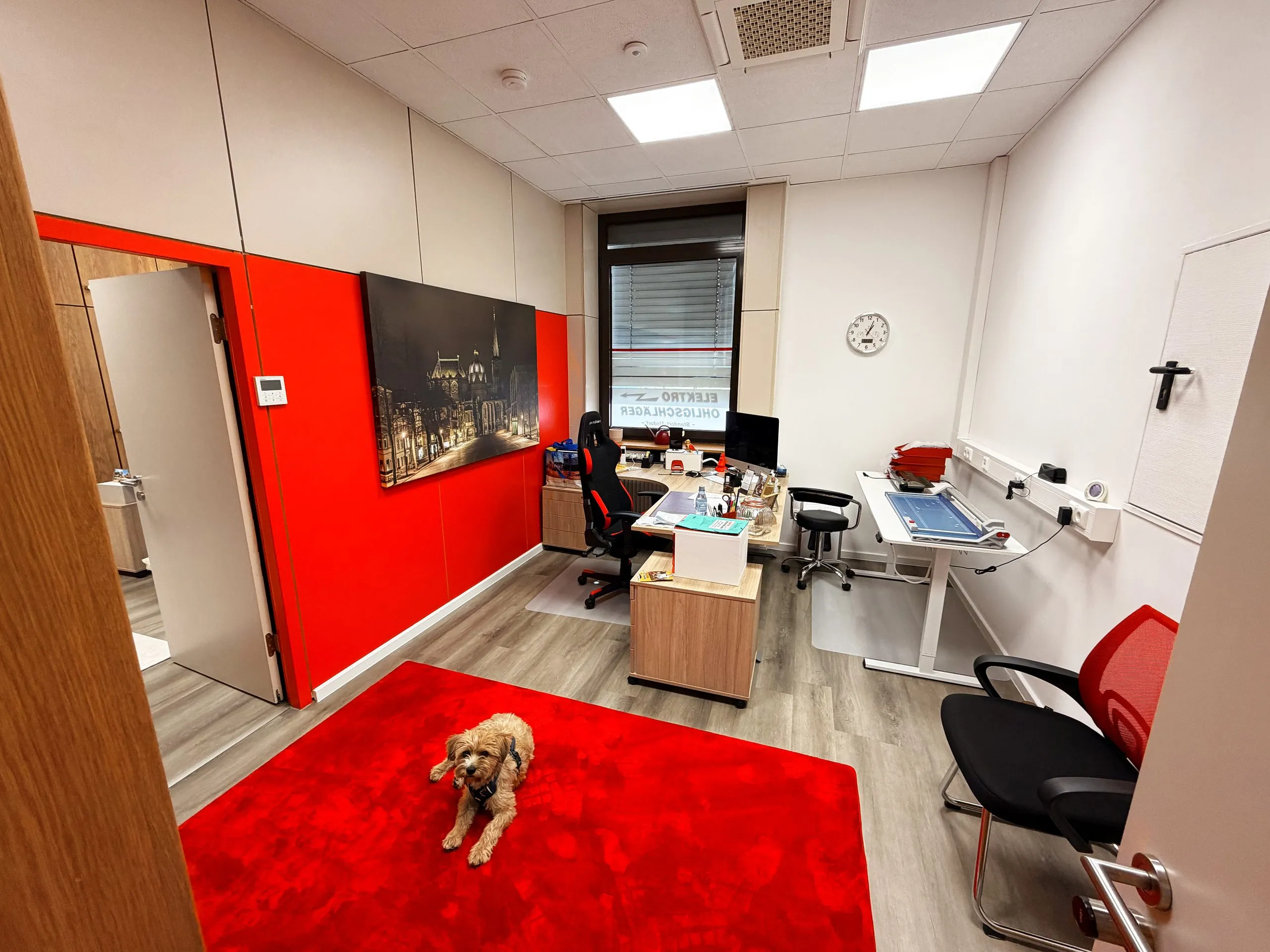 Büro in Alsdorf mit rotem Teppich, Schreibtischen und Bürohund